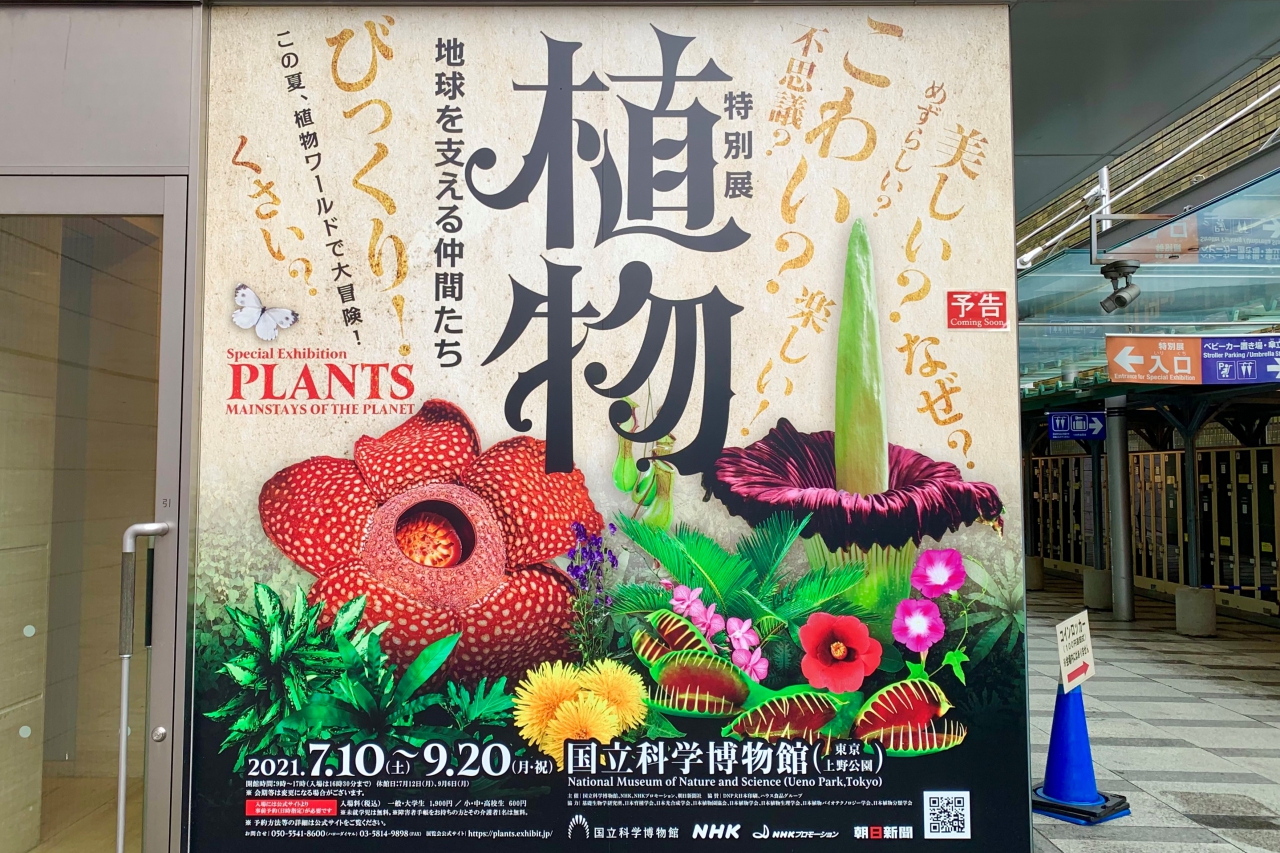 國家科學館 植物 支持地球的朋友 會場報導 Art Culture Information In Taito City